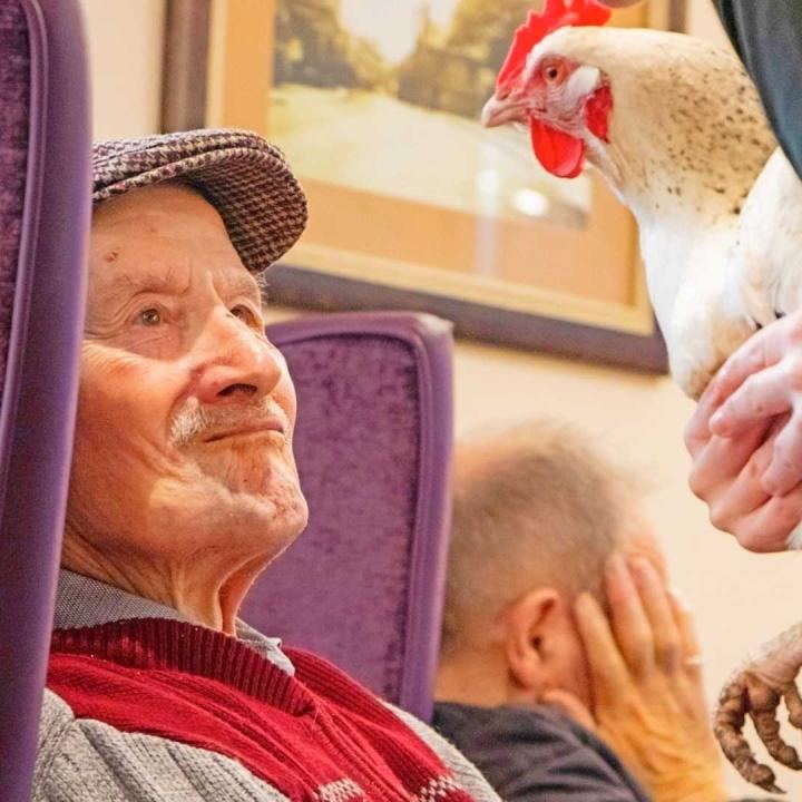 resident with a chicken